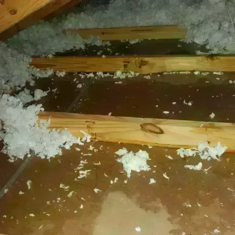 Attic Water Damage in Hughes, AR