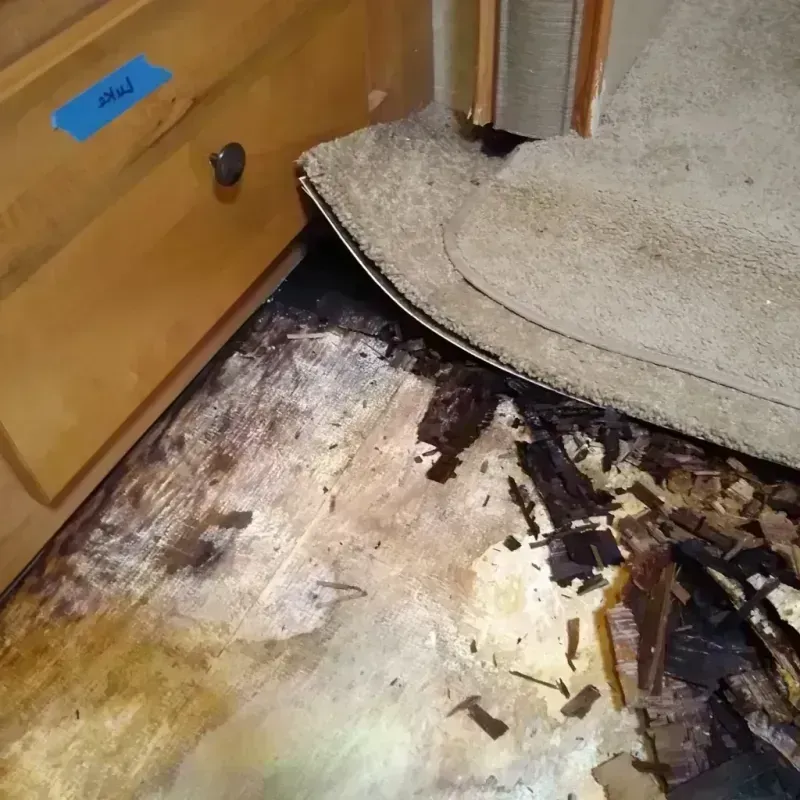 Wood Floor Water Damage in Hughes, AR